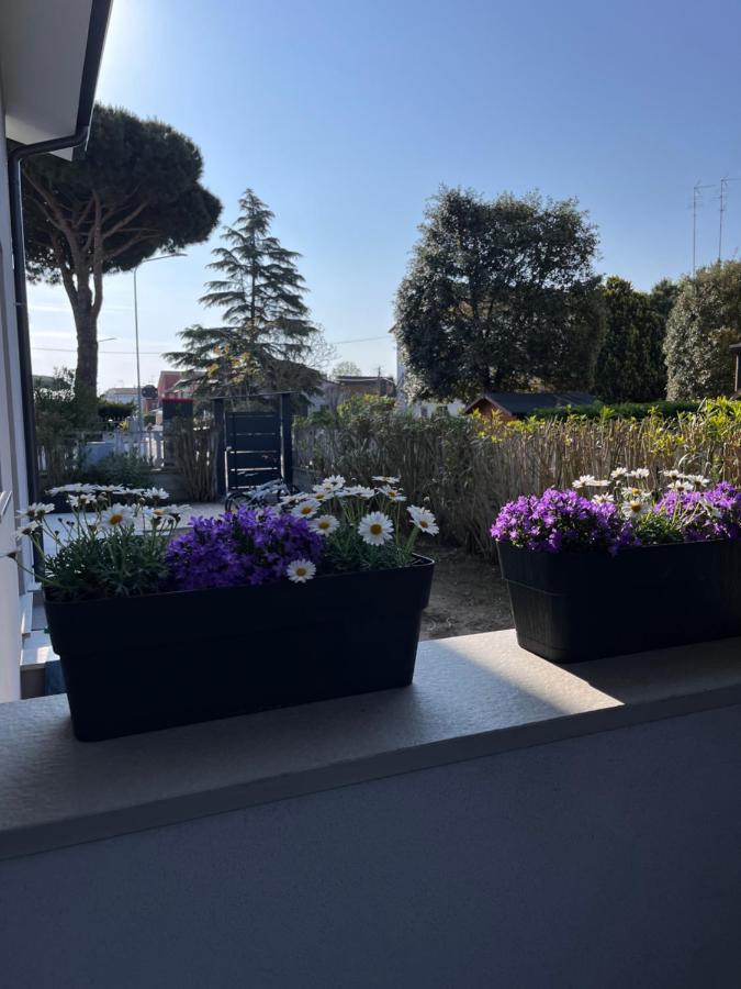 B&B A Due Passi Dal Mare ลิโด ดี ปอมโปซา ภายนอก รูปภาพ